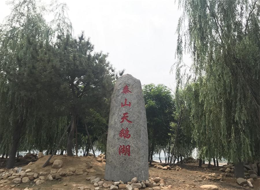 天鵝湖風(fēng)景區(qū)（泰山）速覽！(圖12)