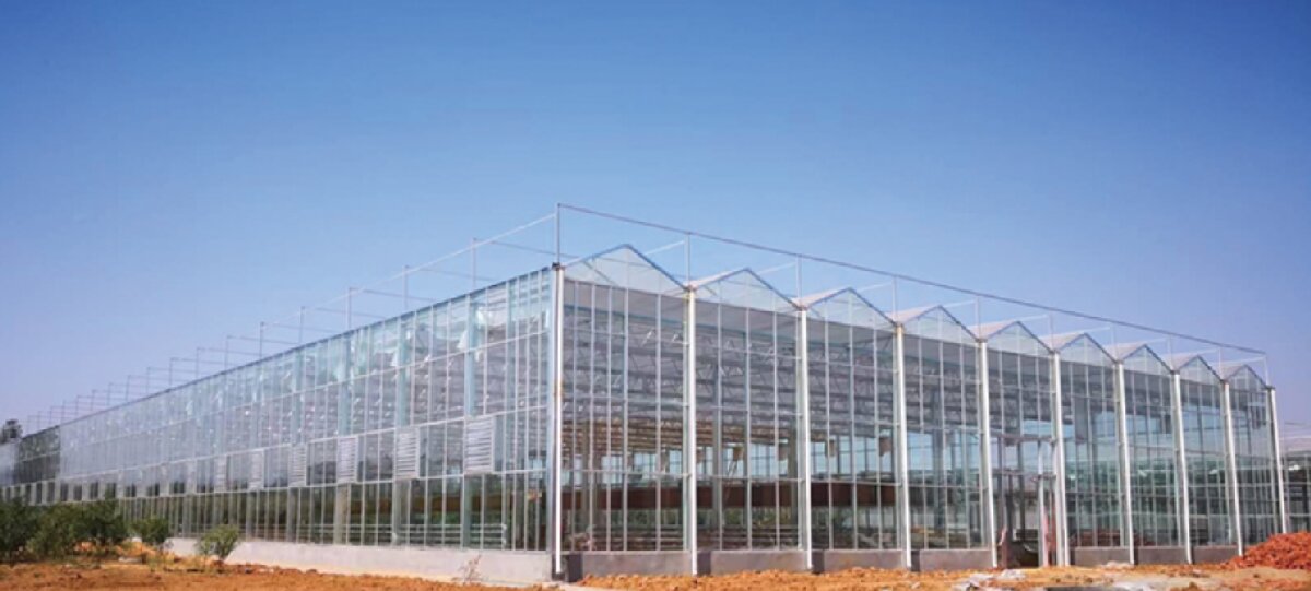 信橋鋼構(gòu)：打卡蒙陰農(nóng)業(yè)溫室大棚、青州黑牛養(yǎng)殖基地！(圖2)